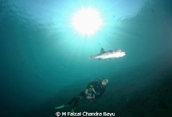 Drop Off - Tulamben, Bali by M Faizal Chandra Bayu 